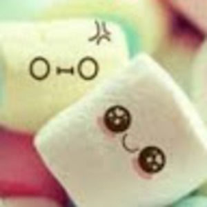 Meet your Posher, Pandalover